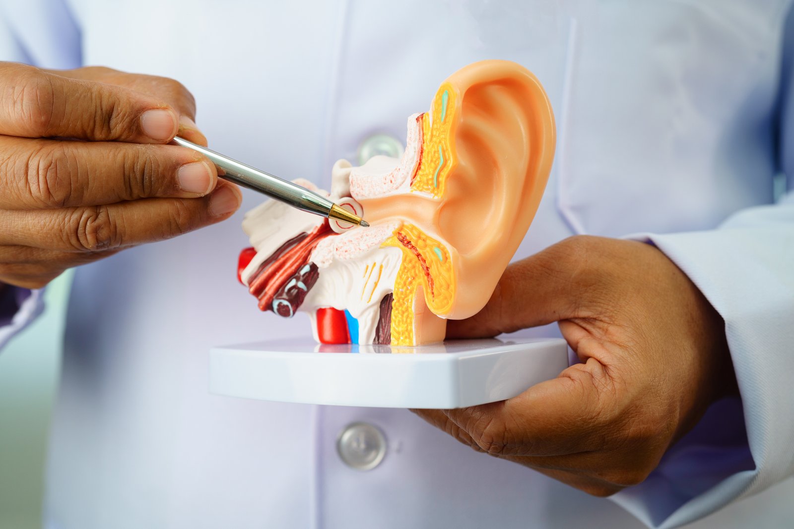 Ear Wax Removal BestHear Swansea Ear Wax Removal BestHear Swansea